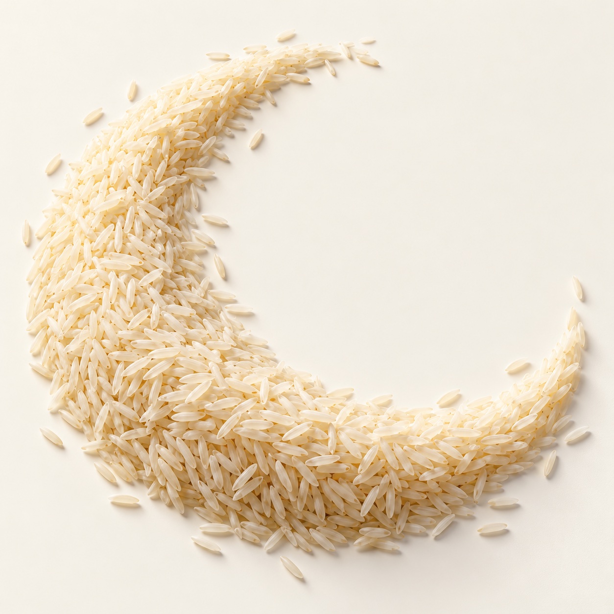 Rice grains in a sculptural studio composition